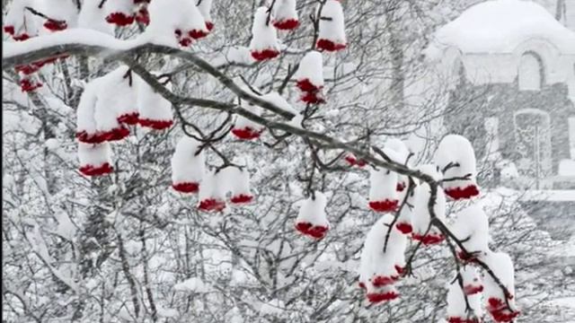 Новогодние пожелания смотреть онлайн