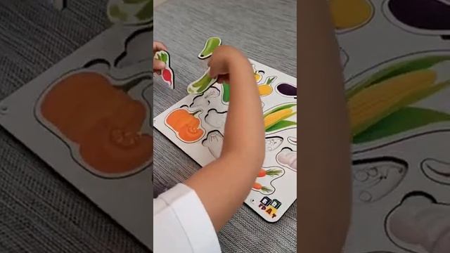 Сортер/деревянный сортер "Овощи"/развивающие игрушки/настольные игры/деревянные рамки-вкладыши смотреть онлайн