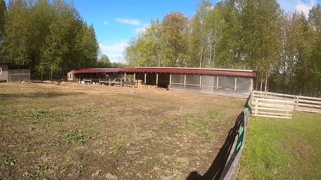 ОДИН В ДЕРЕВНЕ сделал удобный инструмент! Ремонт в гараже. @Odinvderevne смотреть онлайн