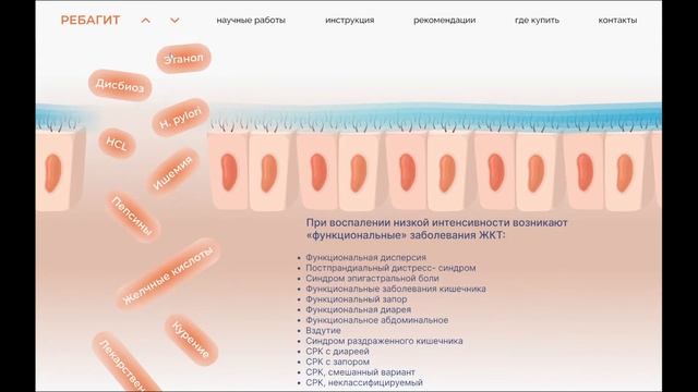 Video demonstration of the Rebagit website design смотреть онлайн