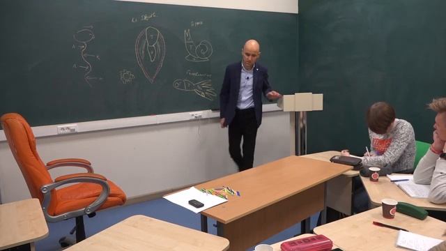 31. Нервная система моллюсков смотреть онлайн