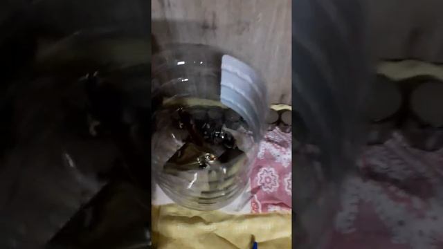 Стоимость ремонта смотреть онлайн