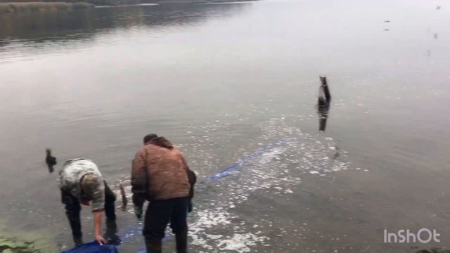 Зарыбление Карачуновского водохранилища 24 октября 2019 года смотреть онлайн