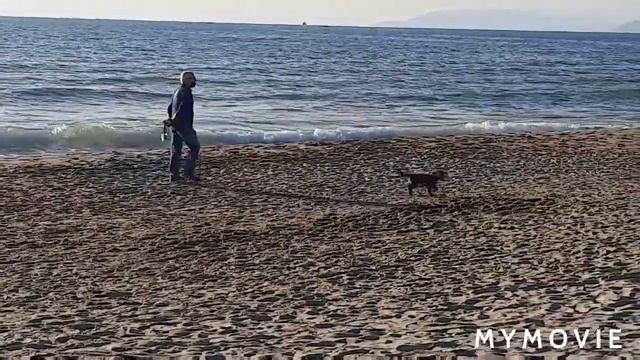 Итальянский менталитет ???чем отличается от нас?? смотреть онлайн