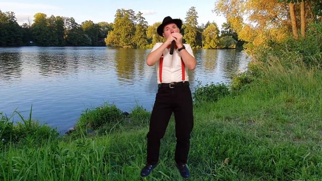 Winnetou Melodie gespielt auf der Mundharmonika "Big Six" von Seydel. смотреть онлайн