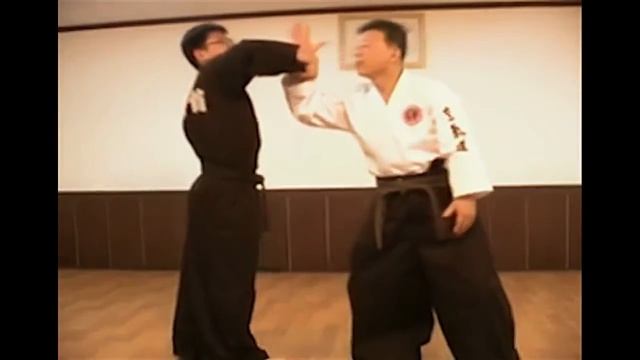 Ханкидо 12 базовых техник смотреть онлайн