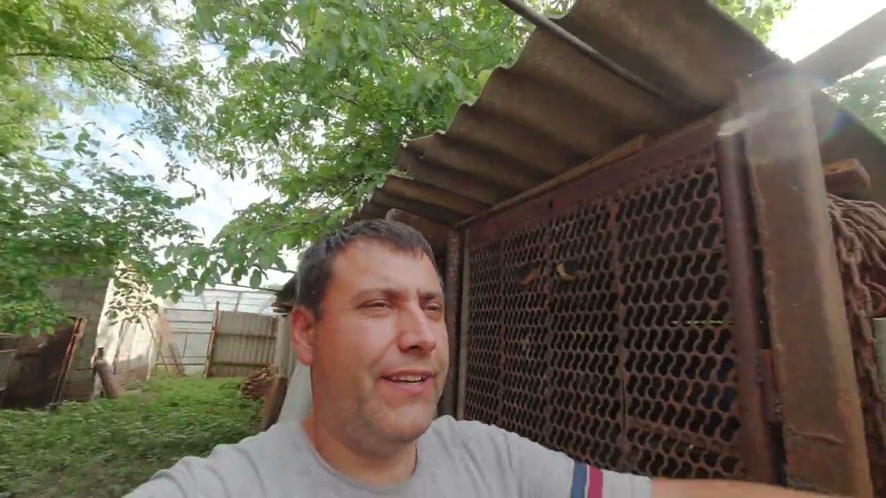 ВЫРОС ЧЕРЕЗ 130 ЛЕТ / СПУТАЛ С КУРИЦЕЙ / ДВА ГОДА МЕЧТАЮ ПОПРОБОВАТЬ смотреть онлайн