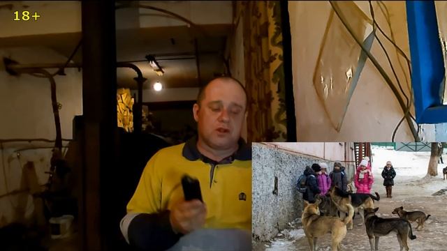 как защитится от собак и это действительно работает смотреть онлайн