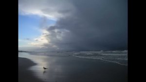 День Балтийского моря