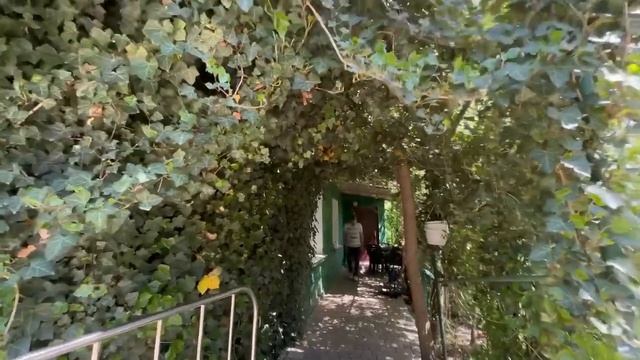 ЭТО ЧТО-ТО! Люся доверяет мыть свою звездную О’ПУ только Владу! смотреть онлайн