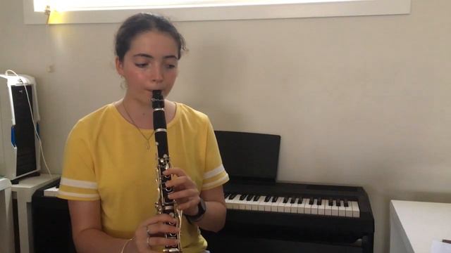 Adele - When We Were Young (Clarinet Cover) смотреть онлайн