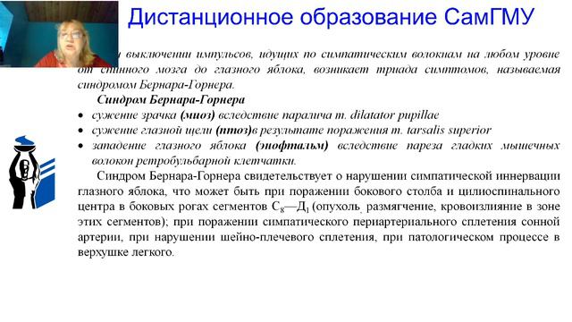 Вегетативная нервная система смотреть онлайн