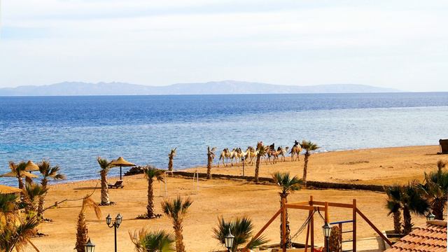 Egypt, Dahab 2008