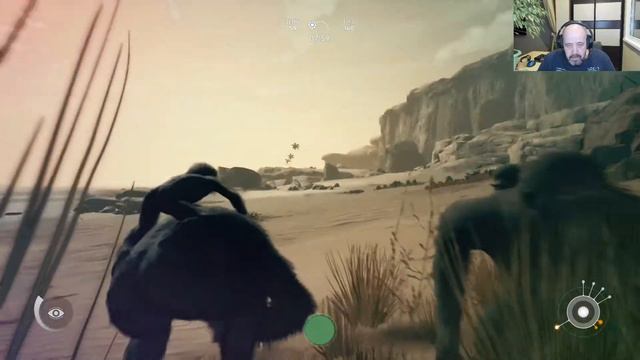 На берегу океана. Финал. ►Ancestors: The Humankind Odyssey #27 смотреть онлайн