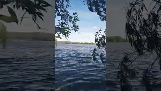 Озеро Екатеринбург район химашь 2020.06.12. смотреть онлайн