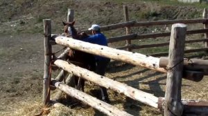 небольшой  урок для тех кто сам хочет  обучить коня