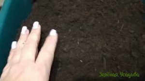 Грунт из Светофора стоит ли брать/ Распаковка