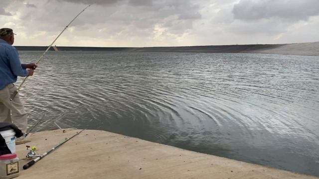 С батей на рыбалку. За толстолобом.4k. Рекордный толстолоб на 7.200 кг смотреть онлайн