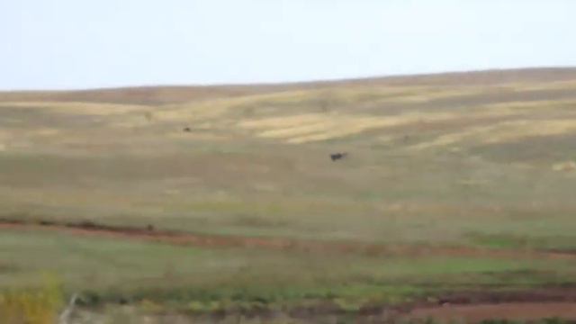 все здесь мне свято, до боли, до слез (слова из песни музыка которой звучит в видео) смотреть онлайн