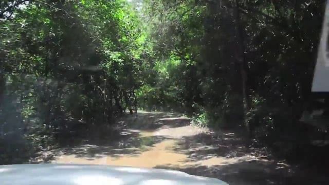 Ethiopia: road to Arba Minch Nech Sar National Park смотреть онлайн