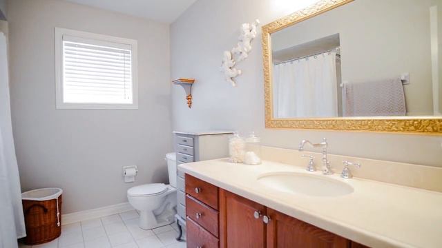 13 Grapevine Road Bolton смотреть онлайн
