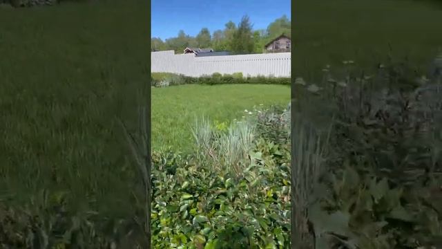 Рыба в Руках