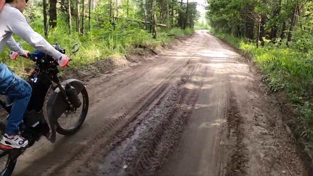 Хутор-бор - Водоплавающие свинки смотреть онлайн