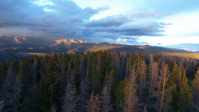 Música Relajante de Piano • Música para Meditar, Dormir, Relajarse y Aliviar el Estrés смотреть онлайн