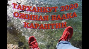ТАРХАНКУТ ОЖИНАЯ БАЛКА ЗАПАДНЫЙ КРЫМ КАРАНТИН