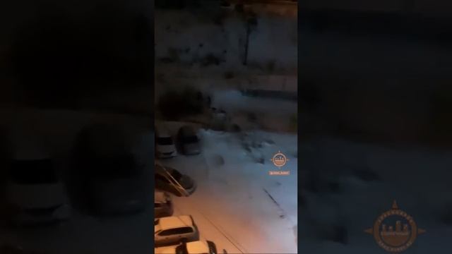 Разные взгляды на кормление бродячих собак в Солнечном, Красноярск смотреть онлайн