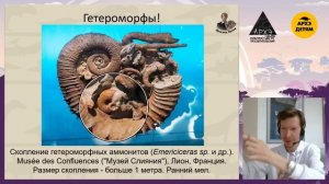 Занятие для детей "Аммониты и не только" кружка "Динозавры и не только" с Ярославом Поповым