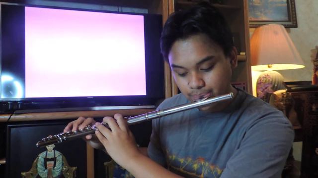 ALMOST THERE from the Princess and the Frog (flute cover) смотреть онлайн