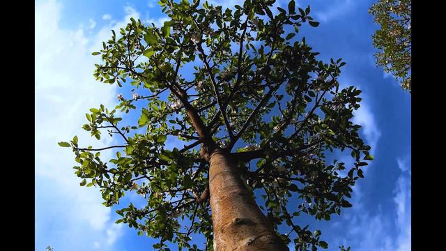 ВЕСНА песня смотреть онлайн