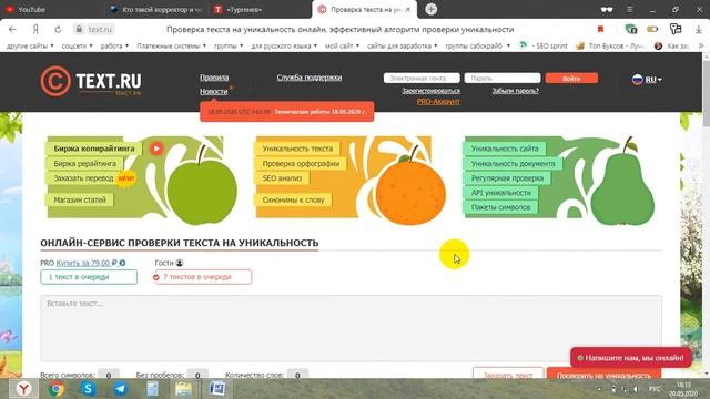 Кто такой корректор и чем он занимается, как работать удаленно смотреть онлайн