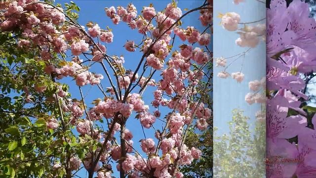 песни про весну это весна пришла опять на землю Христианские песни про весну