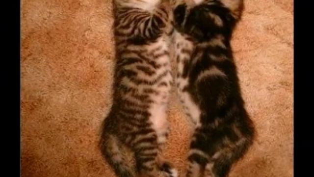 моему ДРУГУ...мы банда! смотреть онлайн