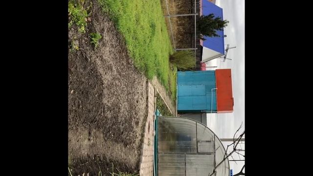 Пересадка Чеснока/теплица К Весне Готова/грядка Для Моркови смотреть онлайн