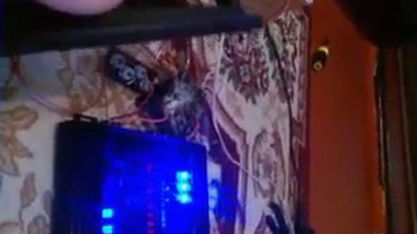 мистери mjs 12