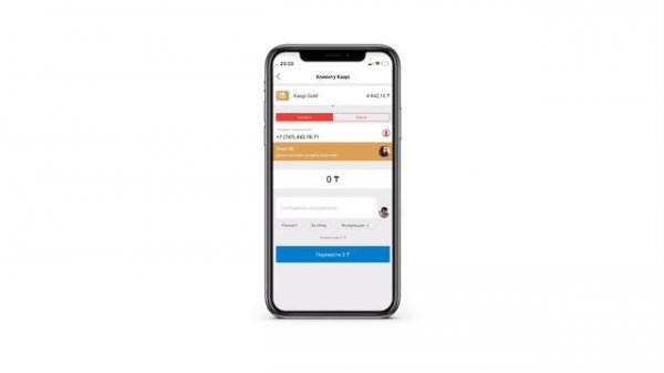 Kaspi.kz TUTORIAL for Professional English
