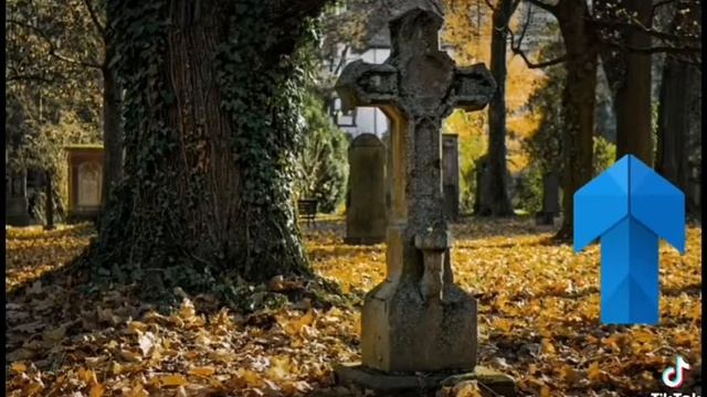 Кладбища в Алматы закроют с 1 по 10 мая смотреть онлайн