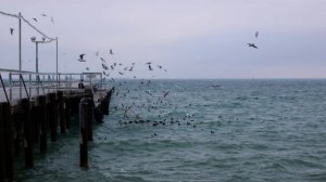 Вика Цыганова. Крым.