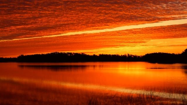 Как доверять себе? смотреть онлайн