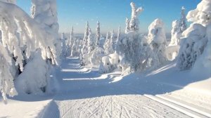 Антонио Вивальди - Времена года. Зима. Часть 2: Ларго