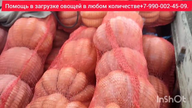 07-02-2024 г Цены сегодня рынок Великие Копани Херсонская область. смотреть онлайн