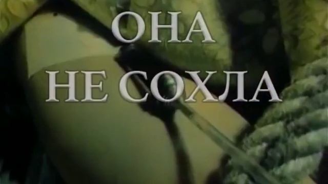 Для косплей-дефиле смотреть онлайн
