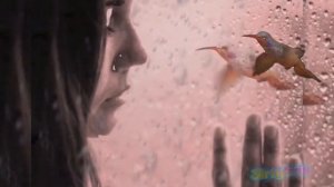 Песня слушать  - а на кой черт твои розы, если не любишь меня?