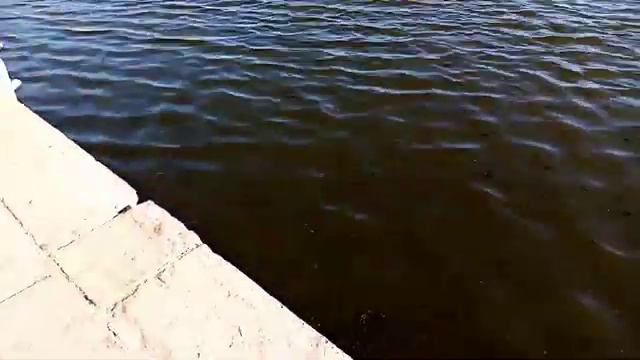 Димочка и Кирочка на реке Миасс смотреть онлайн