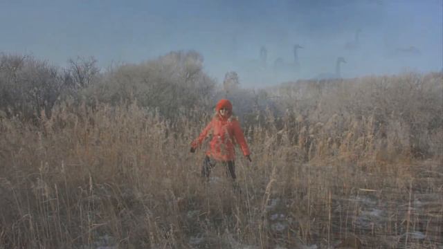 Лебеди прилетели смотреть онлайн