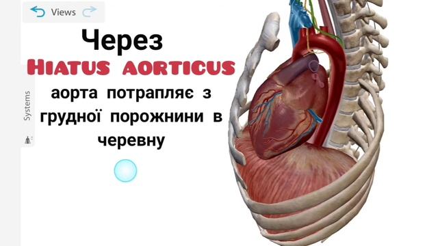 Діафрагма смотреть онлайн