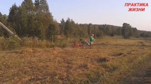 МОТОБЛОК НЕВА! СГРЕБАЕМ СЕНО ВОРОШИЛКОЙ